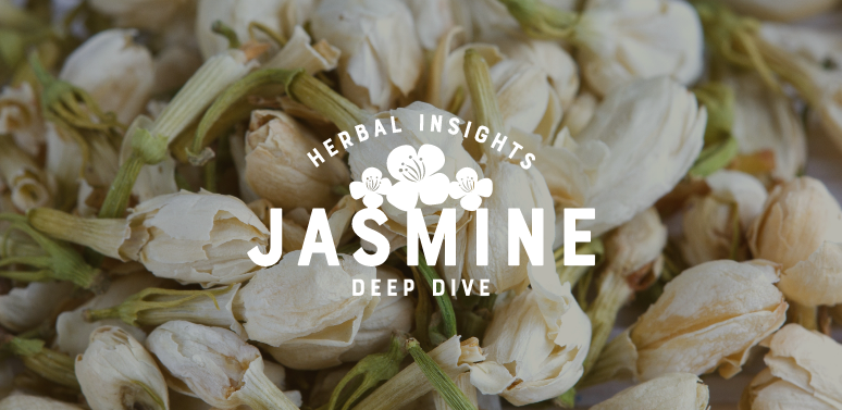 Herbal Insights Deep Dive: The Basics and Benefits of Jasmine