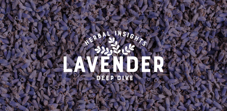 Herbal Insights Deep Dive: The Basics & Benefits of Lavender