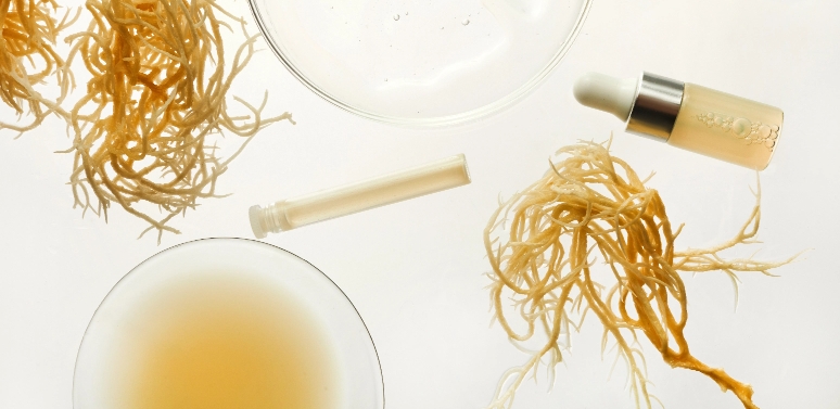 Irish Sea Moss Benefits for Hair and Skincare