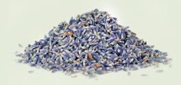 A Little Pile of Lavender
