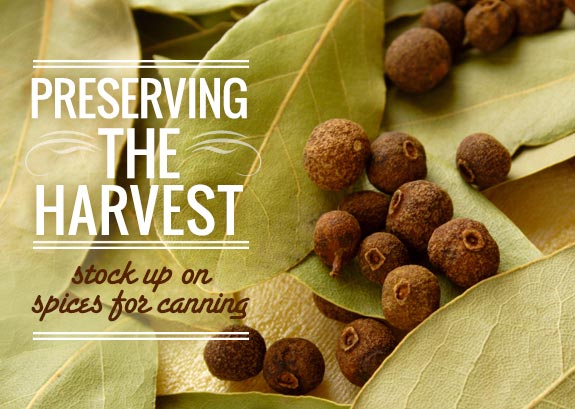 [ Preserving the Harvest ] Tips for DIY Canning, Pickling and Gifting ~from MB Spice Co
