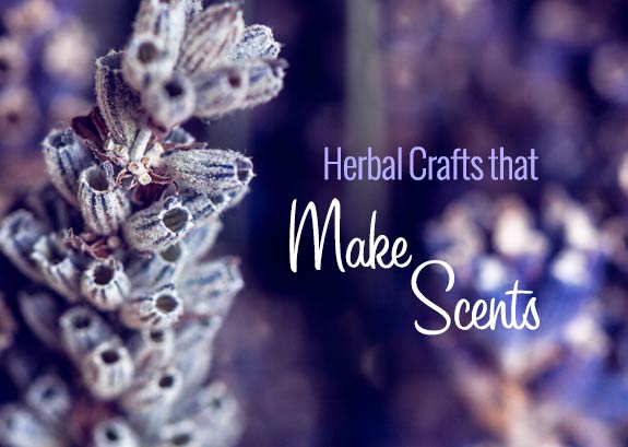 [ Preserving the Harvest ] Tips for DIY Canning, Pickling and Gifting ~from MB Spice Co
