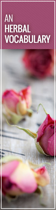 An Herbal Vocabulary ~ from MB Spice Co
