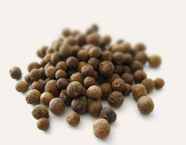 [ Info: allspice ] ~ from Monterey Bay Herb Company