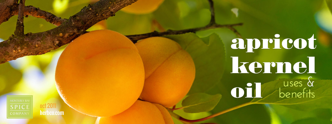 [ Apricot Kernel Oil ] ~ from Monterey Bay Herb Company