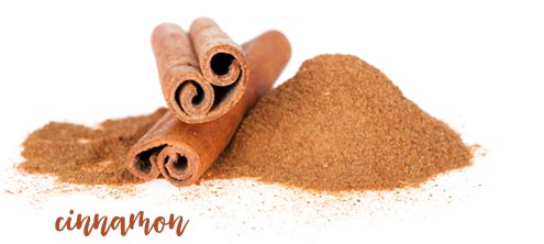 [ breakfast tips: cinnamon ] ~ from Monterey Bay Herb Company