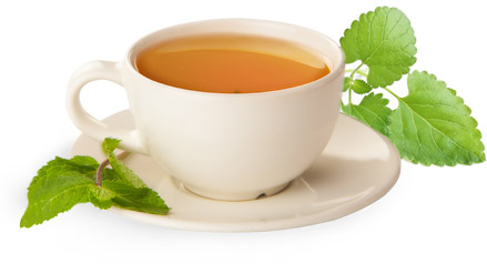 Catnip Tea Recipe