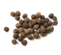 [ Info: allspice ] ~ from Monterey Bay Herb Company