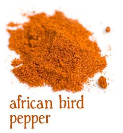 [ info: african bird pepper ] ~ from Monterey Bay Herb Company