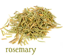 [ info: rosemary ] ~ from Monterey Bay Herb Company