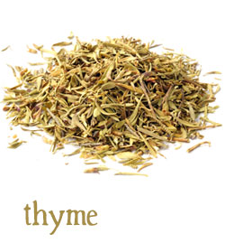 [ info: thyme ] ~ from Monterey Bay Herb Company