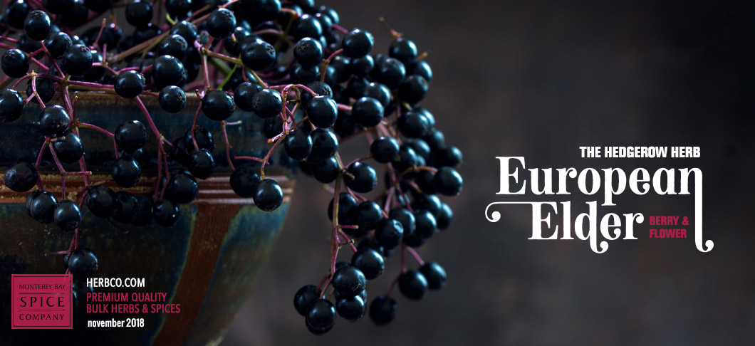 [ The Hedgerow Herb: European Elder - Elderberry and Elder flower ] ~ from Monterey Bay Herb Company