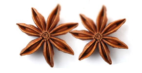 [ star anise ] ~ from Monterey Bay Herb Company