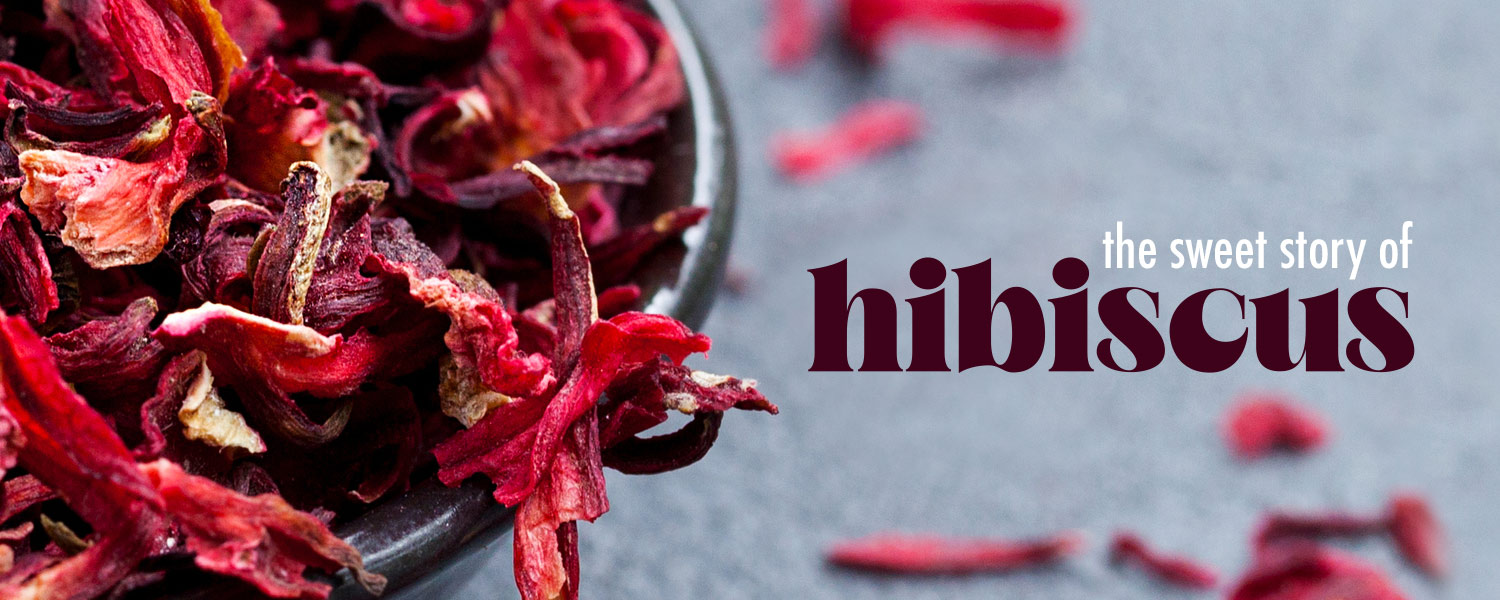 [ the sweet story of HIBISCUS ] ~ from HerbCo