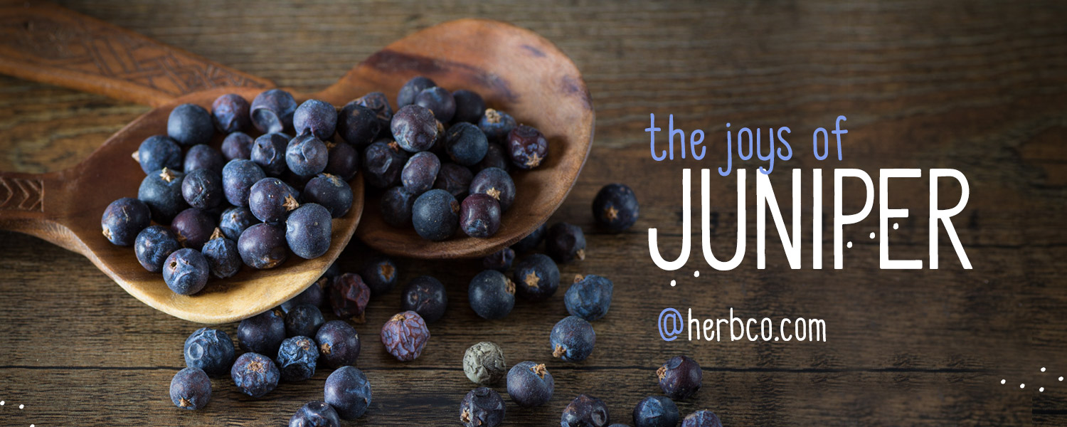 [ THE JOYS of JUNIPER ] ~ from HerbCo