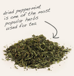[ tip: Combine with peppermint to enhance flavor of teas.  ~ from Monterey Bay Herb Company ]