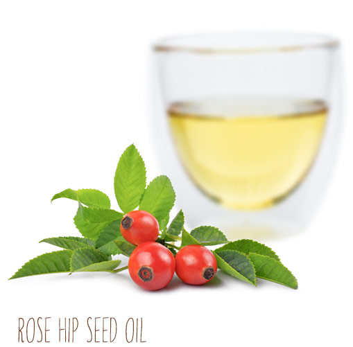 [ rose hip seed carrier oil ] ~ from Monterey Bay Herb Company