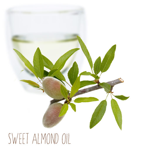 [ sweet almond carrier oil ] ~ from Monterey Bay Herb Company