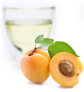 [ apricot kernel carrier oil ] ~ from Monterey Bay Herb Company