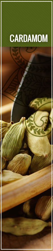 [ Select Spices of India: Cardamom ] ~ from Monterey Bay Spice