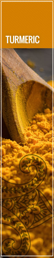 [ Select Spices of India: Turmeric ] ~ from Monterey Bay Spice