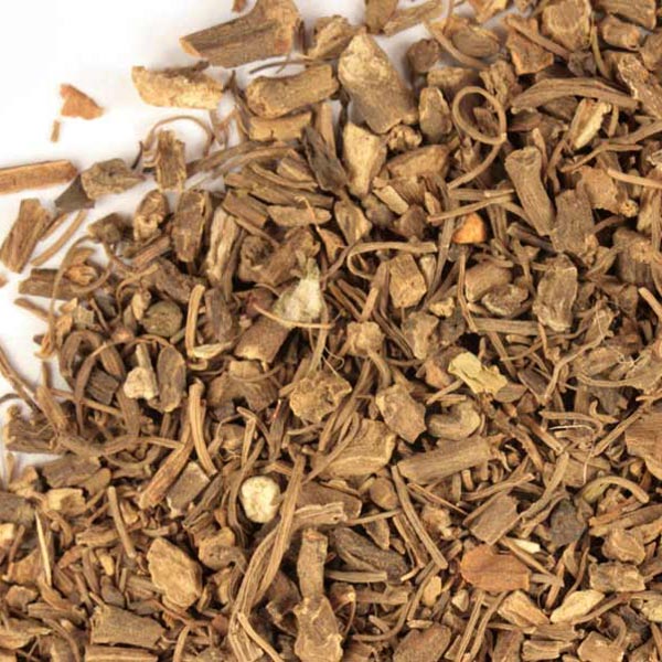 Canadian Snake Root Available in Bulk
