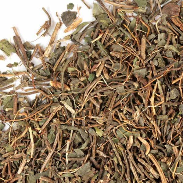 Squaw Vine Information and Squaw Vine to Treat Women's Health Issues