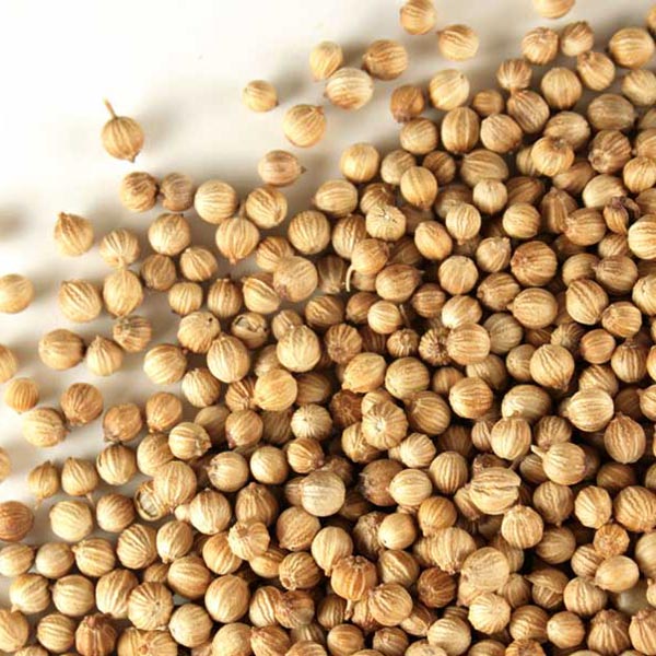 How Coriander Seeds Helps In Weight Loss Things To Know Before You Buy