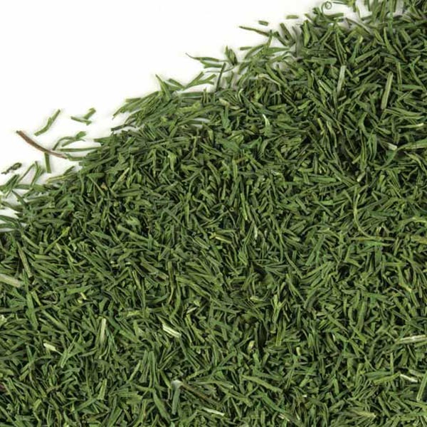 Dried Dill Weed Buy Bulk Dried Dill Weed