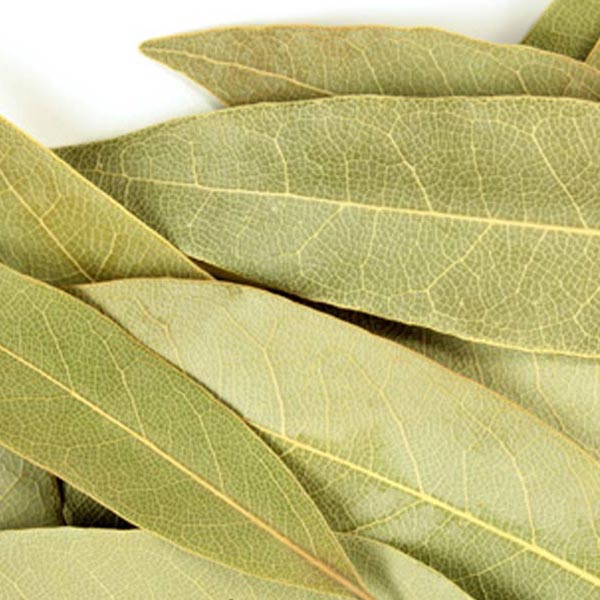 Bulk Organic Whole Bay Leaf