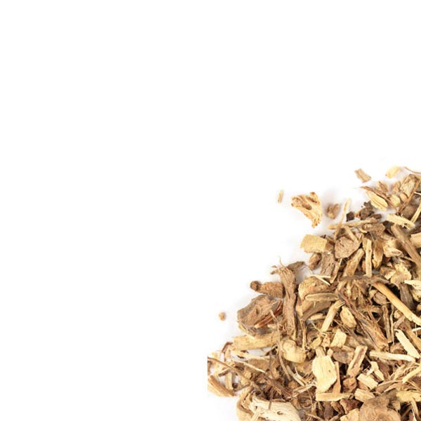 Wild indigo root, c/s, wild crafted