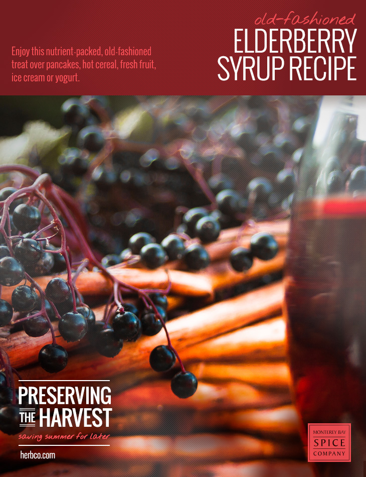 [ Recipe: Elderberry Syrup ] ~ from Monterey Bay Herb Co