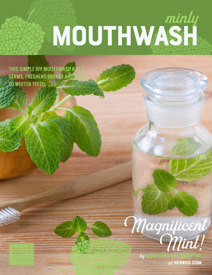 [ Recipe: DIY Minty Mouthwash Recipe ] ~ from Monterey Bay Herb Co