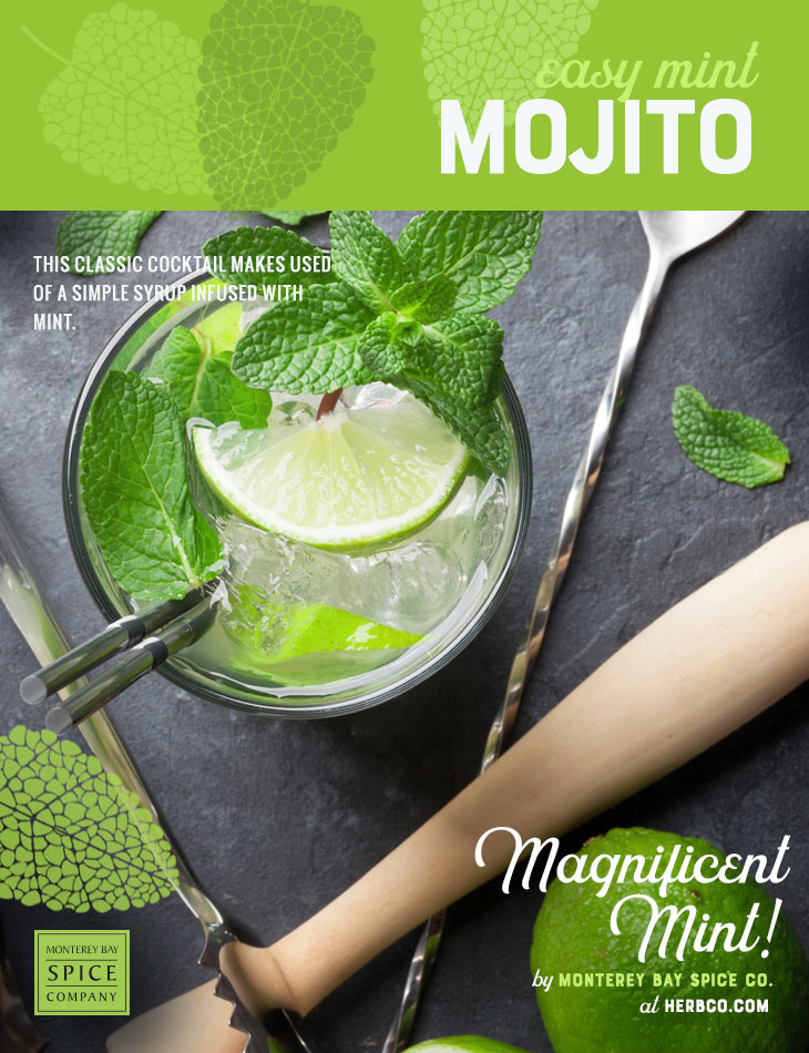 [ Recipe: Easy Mint Mojito Recipe ] ~ from Monterey Bay Herb Co