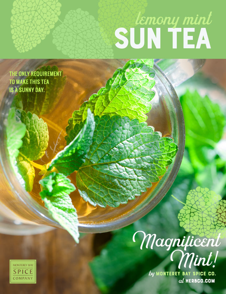 [ Recipe: Lemony Mint Sun Tea Recipe ] ~ from Monterey Bay Herb Co