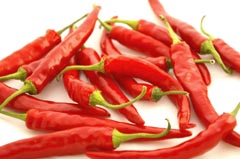 Capsaicin News