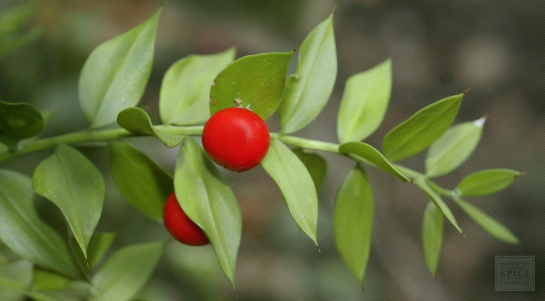 Butcher's broom