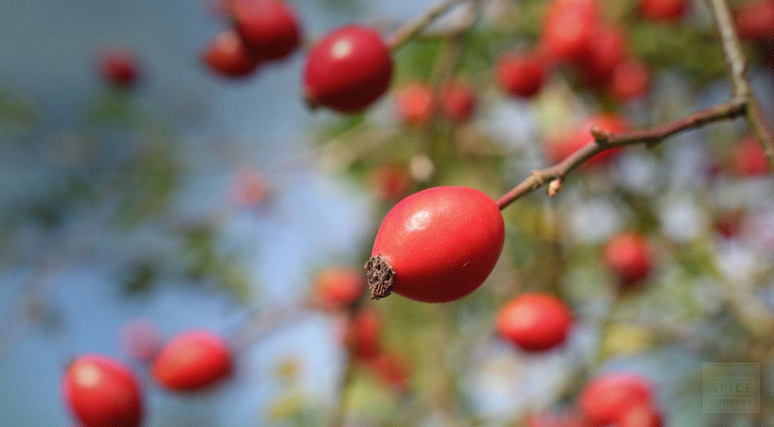 Rose hips