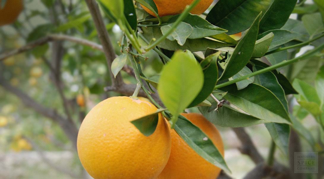 Orange peel