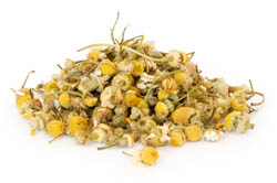 Chamomile