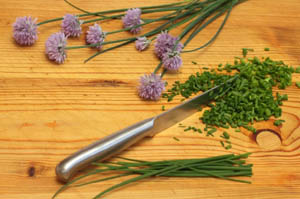 Chive Blossoms