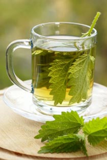 Nettle Leaf Tea