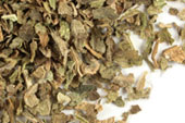 Lobelia herb, c/s, wild crafted