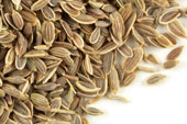 Dill seed, whole