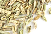 Fennel seed, whole