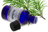 Fir needle (Siberian), essential oil