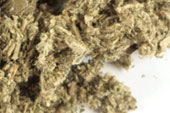 Mugwort herb, c/s Organic