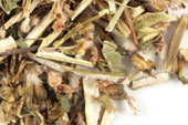Motherwort herb, c/s, wild crafted