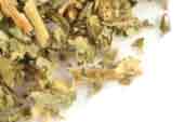 Agrimony herb, c/s
