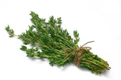 Thyme leaf